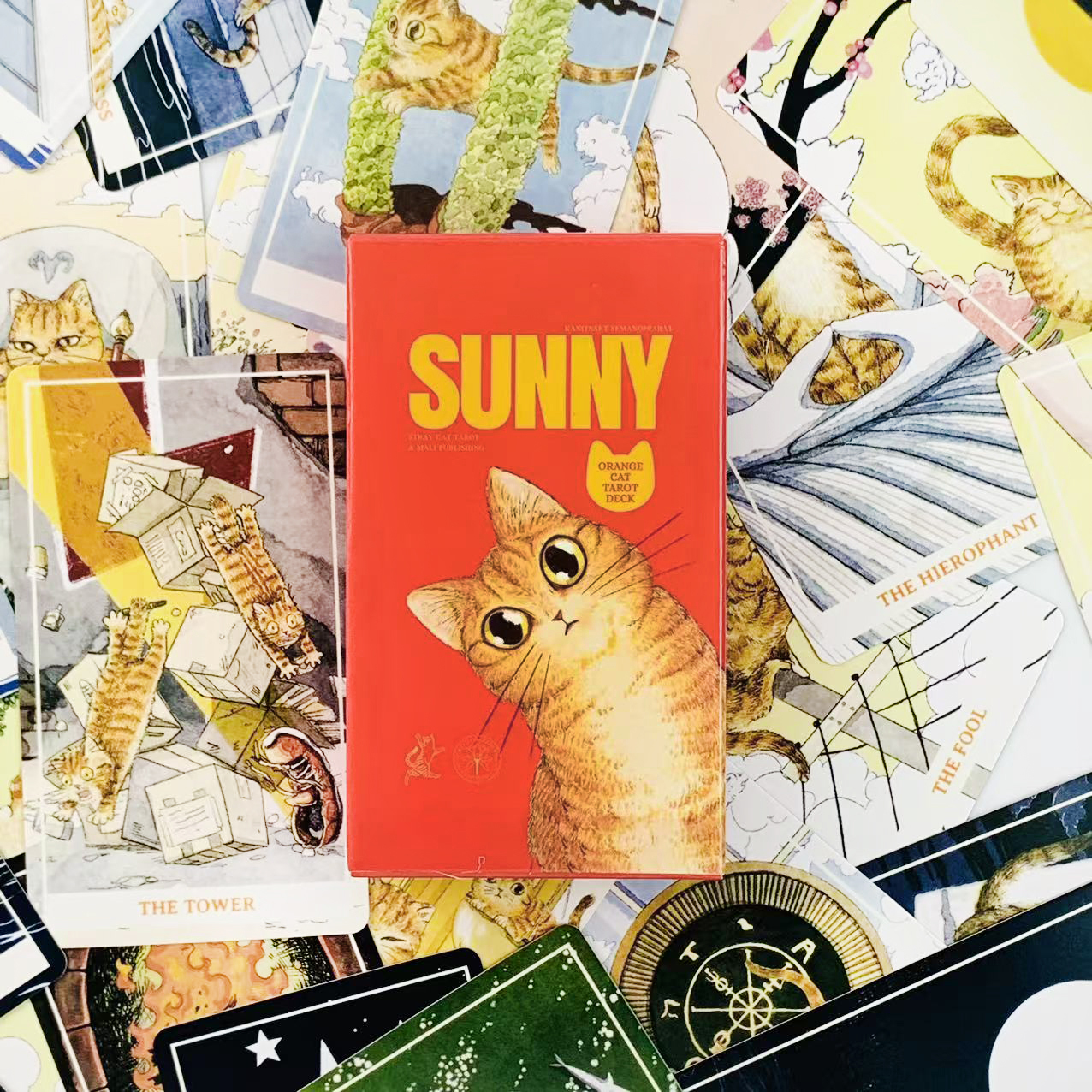 Sunny Orange Cat Tarot Deck A  - Party Games Sunny ulasan dan harga