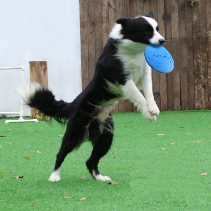 Multicolor Silicone Dog Frisbe - Frisbee Freestyle Disc ulasan dan harga