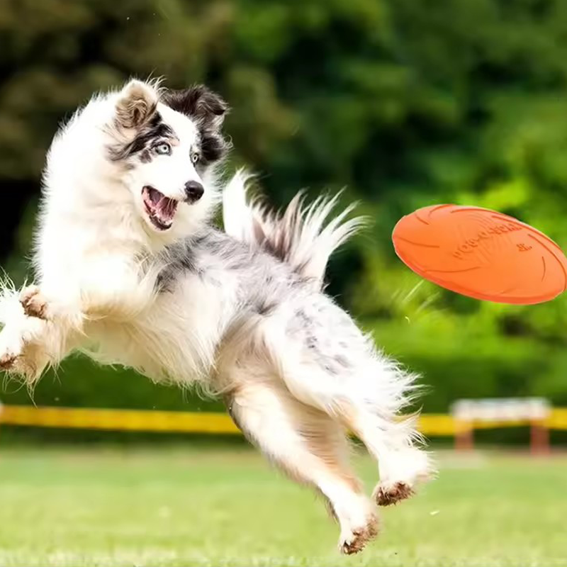 Flying Disc Soft Rubber Pet Fr - Frisbee Freestyle Disc ulasan dan harga