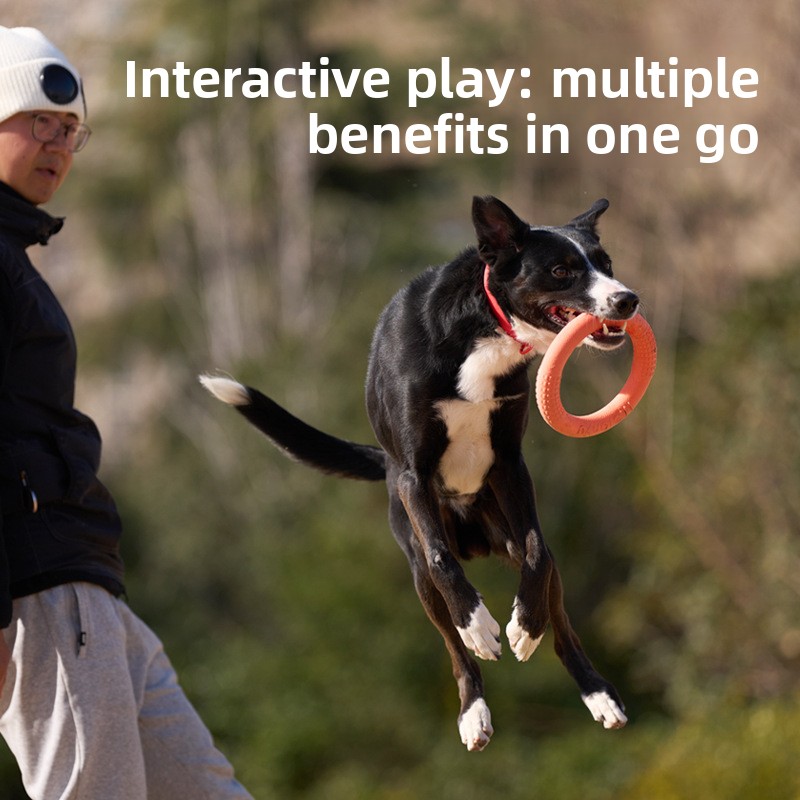 Bite-resistant soft pull-ring  - Frisbee Freestyle Disc ulasan dan harga