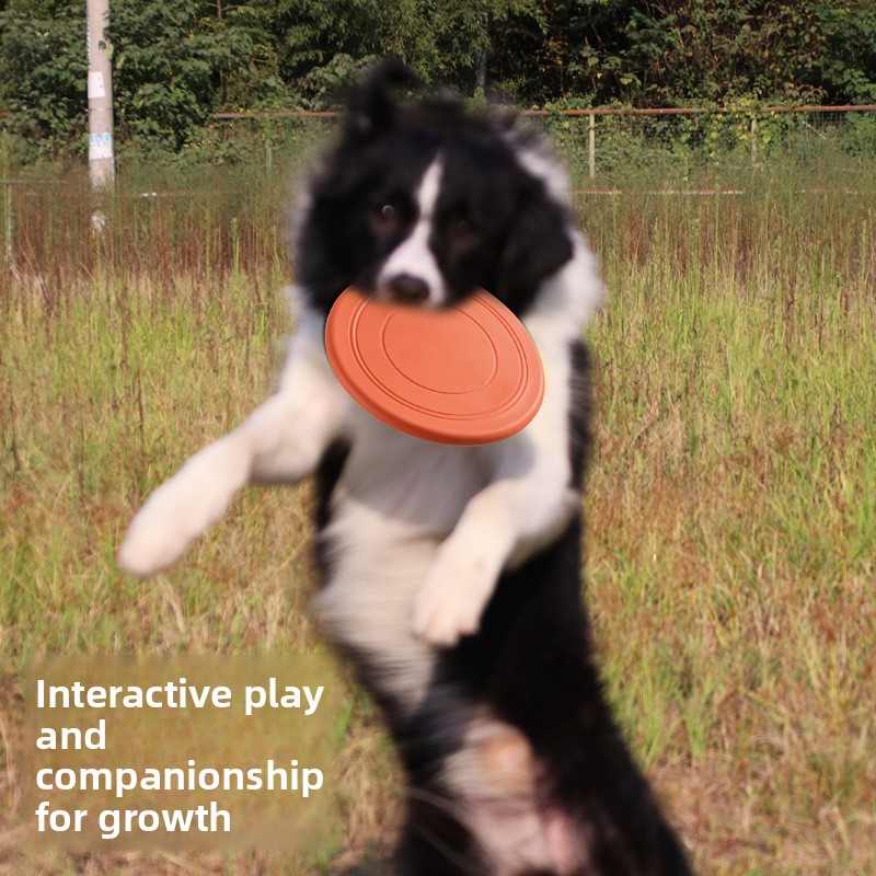 Soft Flying, Dog Toys Interact - Frisbee Freestyle Disc ulasan dan harga