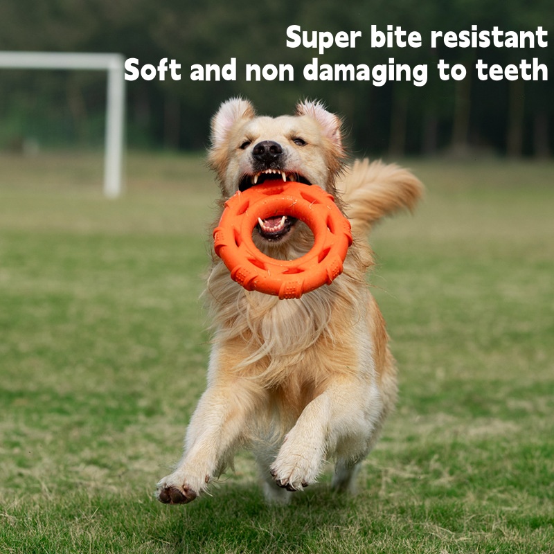 3 in 1 Floating Dog Frisbee Tu - Frisbee Freestyle Disc ulasan dan harga