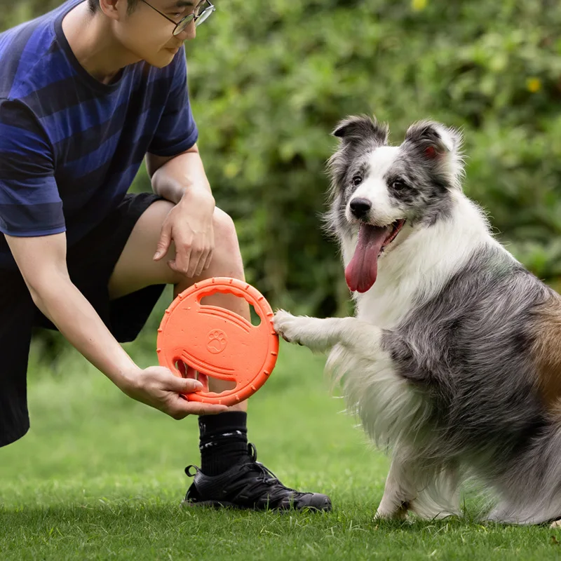 Durable Dog Flying Disc Toy Pe - Frisbee Freestyle Disc ulasan dan harga