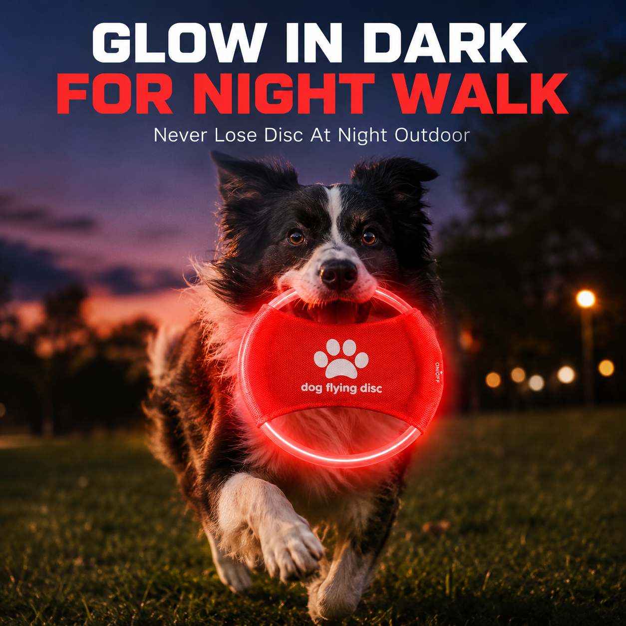 LED Glow Dog Flying Disc USB R - Frisbee Freestyle Disc ulasan dan harga
